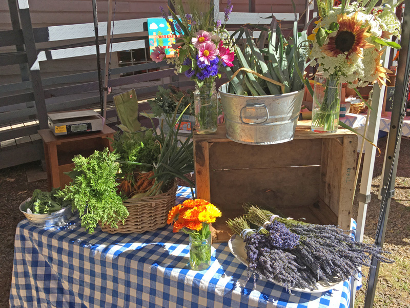 Garden produce from Appletree Farm, Eugene, OR