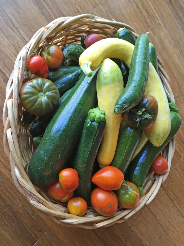 Fresh garden produce from Appletree Farm, Eugene, OR