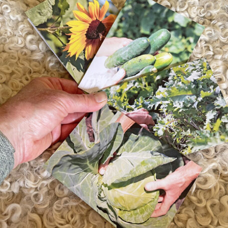 Hands at Work, set of four cards from Appletree Farm, Eugene, OR