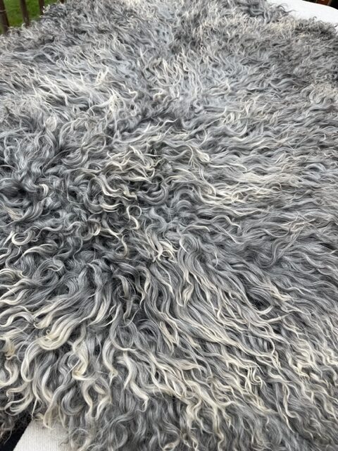 Gotland pelt from Appletree Farm