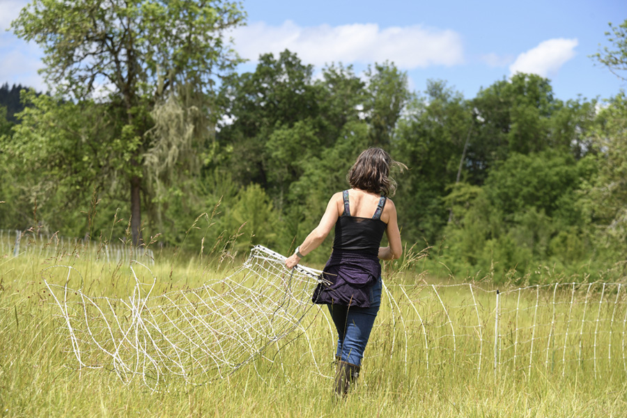 Stephanie with portable fencing - Appletree Farm, Eugene, OR